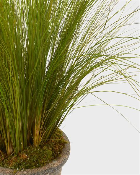 John-Richard Collection Allium Grass Neiman Marcus