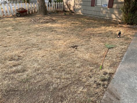 Johnson City is holding an 'Ugliest Lawn' contest — here's why