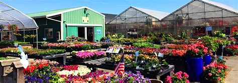 Johnson bros nursery. Johnson Brothers Nursery. 5261 Linville Falls Hwy Newland NC 28657 (828) 733-9520. Claim this business (828) 733-9520. Website. More. Directions ... 