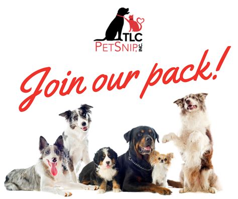 Join Our Pack & Online Scheduling - Lucky Dog Bark & Brew