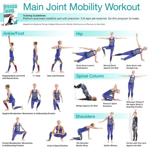 Joint Mobility Exercises to Improve Flexibility