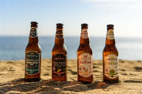 Joints, edibles and six packs? Acquisition of beer brands could portend more cannabis-infused beverages