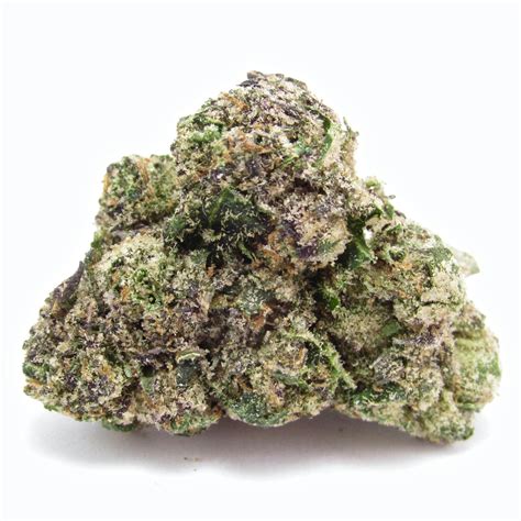 THC: 20%. Gelato is a slightly indica dominant hybrid (55% indica/45% sativa) strain created through a cross of the infamous Sunset Sherbet X Thin Mint Girl Scout Cookies strains. This dank bud is infamous for its insanely delicious flavor and hugely powerful effects that are fueled by a THC level that hits its low point at 20% on average.. 