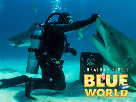 Jonathan bird. Jonathan Bird (born March 1, 1969) is an American photographer, cinematographer, director and television host. He is best known for his role as the host of Jonathan Bird's Blue World , a family-friendly underwater exploration program on public television in the United States. 
