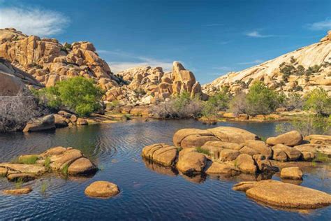 Joshua tree lake. 1. Arch Rock. Arch Rock, located in the White Tank Campground, is one of my favorite places in Joshua Tree. This short half-mile trail takes you to the arch and you can explore all around it. It is one of many unique rock formations in the park and it’s a great place for star photography as well. Read more about Arch Rock. 2. Cholla Cactus ... 