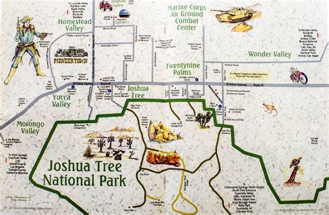 Joshua tree on a map. 