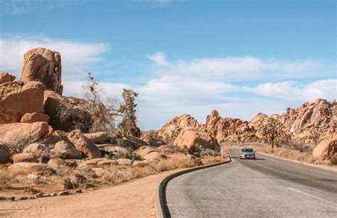Joshua tree to palm springs. Hours: Open 24 hours a day, year-round. The visitor centers are open from 8 a.m. to 5 p.m. daily. Admission: $30 per vehicle. Address: The Joshua Tree Visitor Center is located at 6554 Park Blvd., Joshua Tree, CA. The Oasis Visitor Center is located at 74485 National Park Drive, Twentynine Palms, CA. 