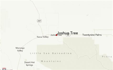 Joshua Tree CA. Tonight. Low: 58 °F. Clear. Friday. High: 86 °F. Sunny. Friday Night. Low: 59 °F. Clear. Saturday. High: 82 °F. Sunny then. Patchy. Blowing Dust. and Breezy. Saturday Night. Low: 54 °F. Patchy. Blowing Dust. and Breezy. Sunday.