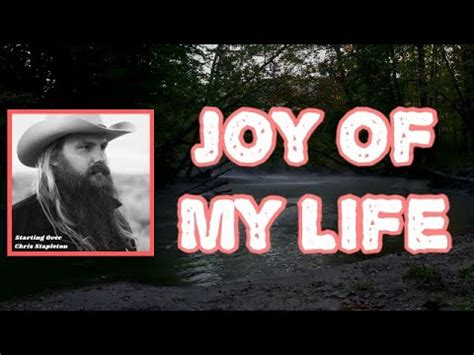 Joy Of My Life - Chris Stapleton (cover) by 1brendancox