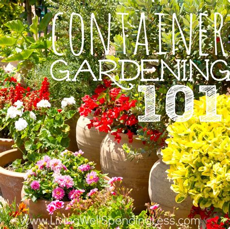 Joy of planting 101 recipes for pots and containers a step by step guide to creative container gardening. - Financial managerial accounting 16th edition solutions manual.