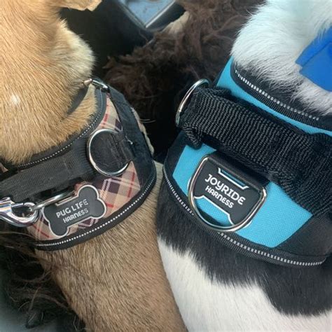 Joyrideharness.com - Joyride Harness for Small, Medium, Large Dogs, No-Pull Pet Harness with 3 Side Rings for Leash Placement, Adjustable Soft-Padded Vest for Training, Walking, Running, No-Choke Easy On-Off Technology