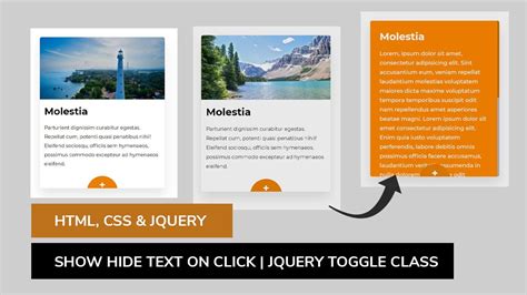Jquery show options example