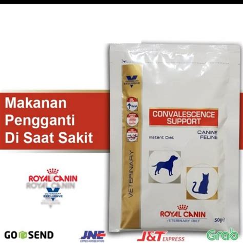 Jual royal canin recovery sachet terlengkap 【Cek harga hp oppo a77s ram 8】