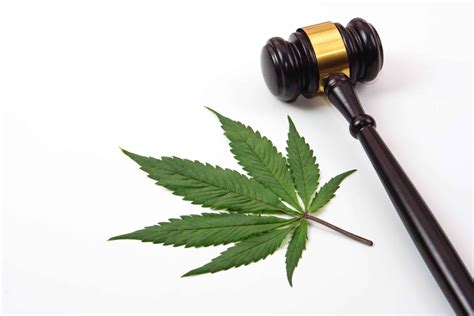 Judge lifts injunction for 30 cannabis licensees