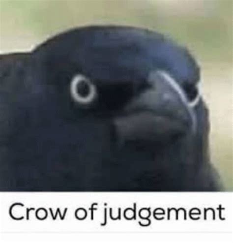 Judgemental crow. Things To Know About Judgemental crow. 