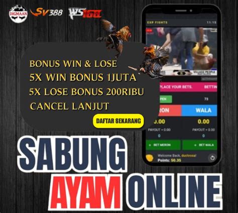 Judi sabung ayam pisau online. 24 februari 2024 hari.