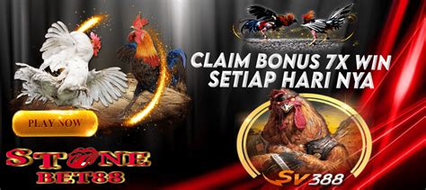 Judi sabung ayam pisau online. Pengeluaran hk 2020.