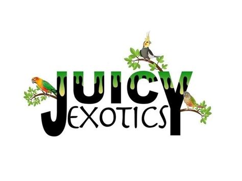 🍌 Juicyexotic Leaked XxX 39 Vids