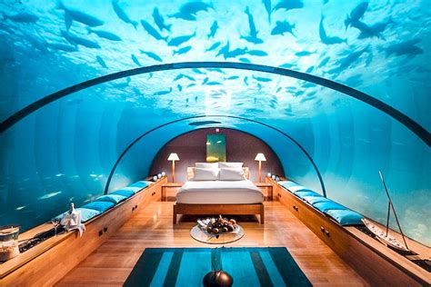 Jules undersea lodge. Jun 10, 2023 · The Jules' Undersea Lodge sits 30 feet (9 meters) below the surface of the green-tinged Emerald Lagoon in the coastal waters off Key Largo. The habitat has a surface area of around 100 square feet ... 