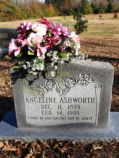 Julia Angeline Onlyfans Leak 🔥 PORN