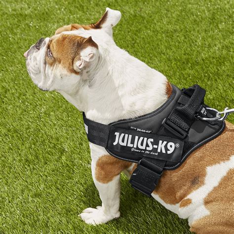 Julius k9 harness. In the JK9 Street harness, we designed every small element uniquely for the dog's body, its movement and its environment. We replaced all metal parts with ultra-light, yet super-strong plastic. All parts are shaped to blend into the curves of the dog's body and easily follow the dog's movements. 