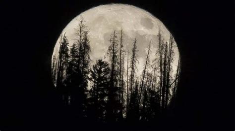 July's full moon will be a little extra special: Here's why