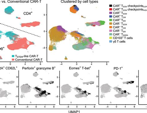 Jun-Hung Cho, Ph.D., RAC(Drugs) on LinkedIn: TSTEM-like CAR-T cells …