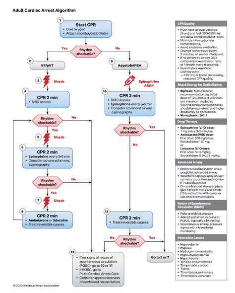 June 12, 2024 ACLS Refresher (8:00 - 11:00 am)