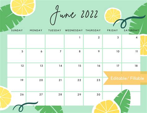 June 2022 Calendar Editable