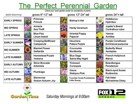 June Flowering Perennial Plants – The Gardening Bible