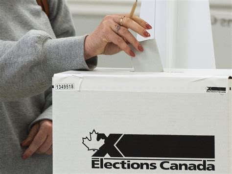 June byelections will be monitored for foreign interference, government says