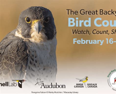 Juneau Christmas Bird Count Results! - Juneau Audubon Society