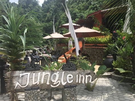 Jungle Inn Bukit lawang, Bukit Lawang - Harga Terbaru 2024