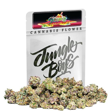 Jungle boys sherbanger. Jungle Boys carts are renowned for their quality and potency in the cannabis community. Each 1G Jungleboys Cannabis Vape Cartridge delivers a premium 