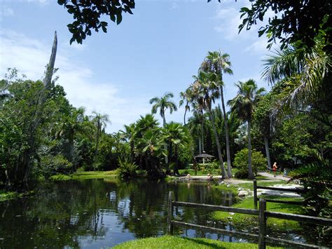 Jungle gardens sarasota. Dec 31, 2017 · Opened in 1939, the 10-acre site features bird and animal shows and botanical plantings. In the 1920s, the site was a swampy banana grove. In the early 1930s, a local newspaperman purchased the grove to create botanical gardens. Sarasota Jungle Gardens opened for business in 1939 in essentially its current form, which includes a gift shop and cafe. 