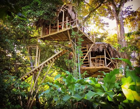 Jungle house. Khao Sok & Cheow Lan Lake Tour Packages at Our Jungle House. Combine the best of both worlds during an exciting 3 Day 2 Night or 4 Day 3 Night Tour Package to Our Jungle House in Khao Sok and to Cheow Lan Lake. From our unique Treehouses and nature bungalows to a Full-Day or Overnight adventure to … 