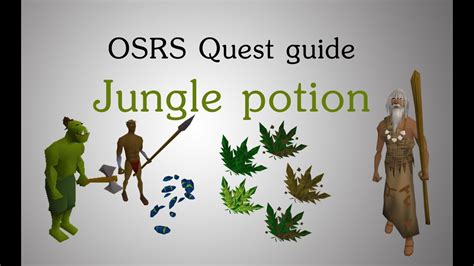 Jungle potion osrs. Here are the quest rewards for Legends' Quest: 4 Quest Points. Access to the Legends' Guild. 120,000 (4x30k) Experience in a skill of your choice. If you want the legends' cape, you can buy it for 675 coins from Siefried Erkle on the 2nd floor of the Legends' Guild. In this OSRS Legends' Quest Guide, we'll go through all the steps ... 