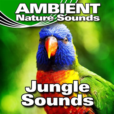  Beautiful jungle ambience with rainforest animals and small rushing waterfall sounds. Nature sounds of the jungle are a great antidote against sleep problems... . 