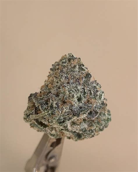 Jungle sunset strain info. Blow Pop, also known as “Blow Pops” or “Blow Popz,” is an indica dominant hybrid strain (70% indica/30% sativa) created through crossing the classic OG Kush X Sunset Sherbet strains. Named for your favorite childhood treat, Blow Pop packs a delicious sugary flavor and soothing high that will have you feeling like you're a kid again during summer vacation. 