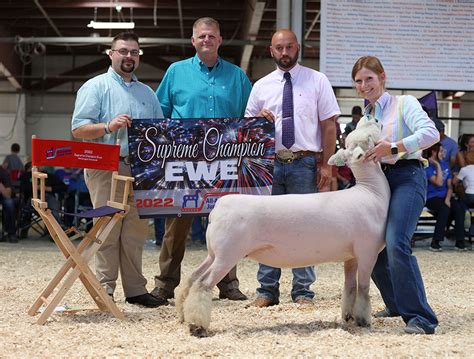 Junior Sheep & Goat Skillathon