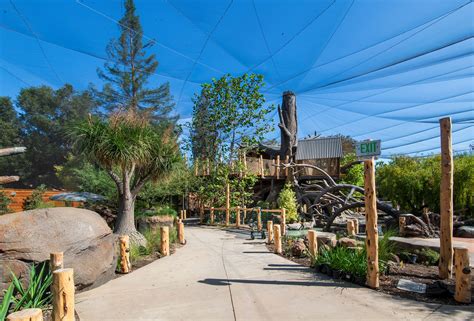 Junior museum palo alto ca. Junior Museum & Zoo's new wheelchair-accessible Tree House is full of fun! ... Palo Alto, CA 94301. General Information (650) 329-2111. Quick Links. Visit; 