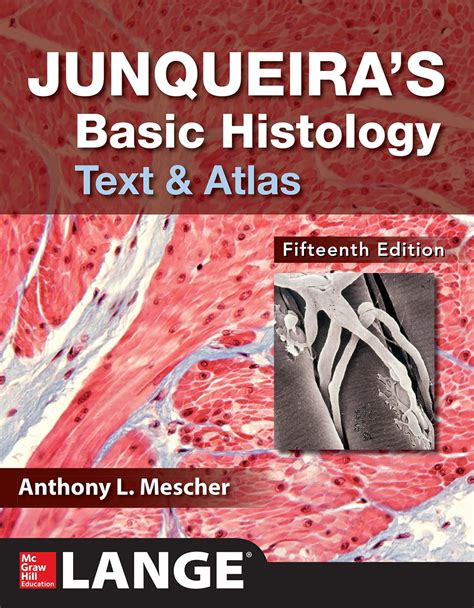 Read Online Junqueiras Basic Histology Text And Atlas Fifteenth Edition By Anthony Mescher