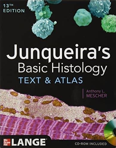 Full Download Junqueiras Basic Histology Text And Atlas Thirteenth Edition By Anthony Mescher