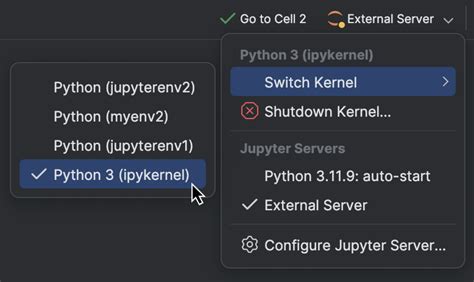 Jupyter remote kernel.  I would like to just click Kernel > use kern...