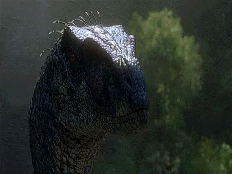Jurassic park gif. Things To Know About Jurassic park gif. 