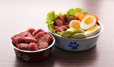 Just Natural Dogs Raw food for Dogs