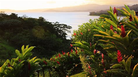 Just beginning to plan - Costa Rica Forum - Tripadvisor