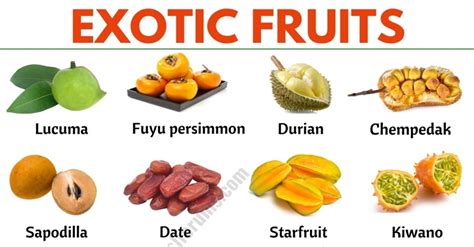 Just fruits and exotics. Things To Know About Just fruits and exotics. 