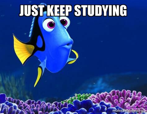 Just keep studying... studying studying... dory quickmeme