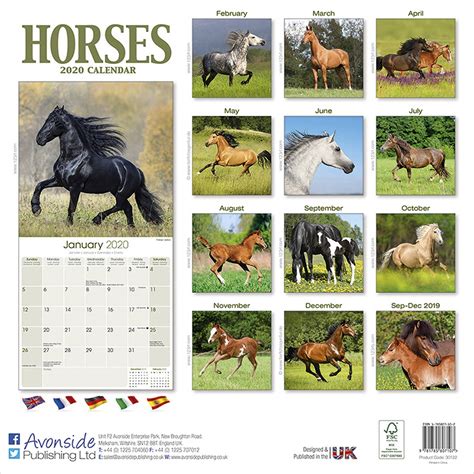 Full Download Just Horses 2020 Wall Calendar By Not A Book